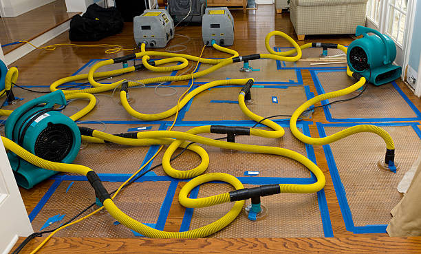 Professional Water Damage Restoration technician working in Arlington, AZ